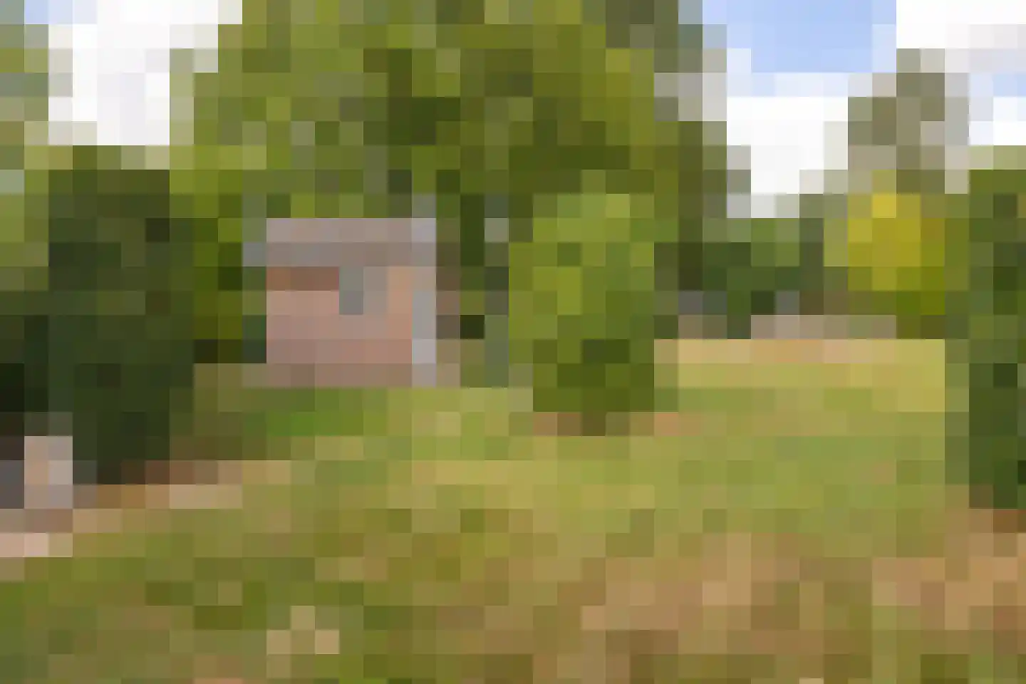 Nieuwenhuysstraat 60 Hulsberg thumbnail 53