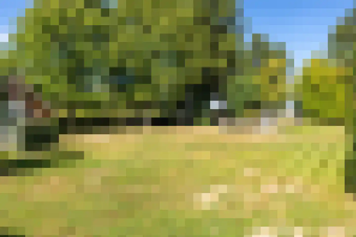 Nieuwenhuysstraat 60 Hulsberg thumbnail 59
