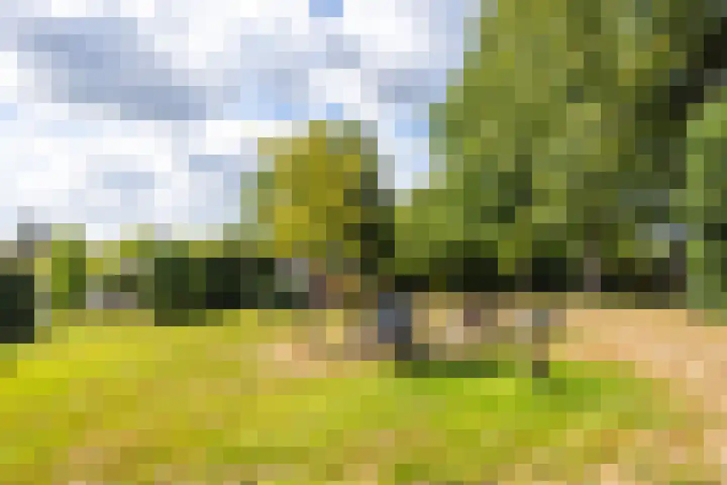 Nieuwenhuysstraat 60 Hulsberg thumbnail 60