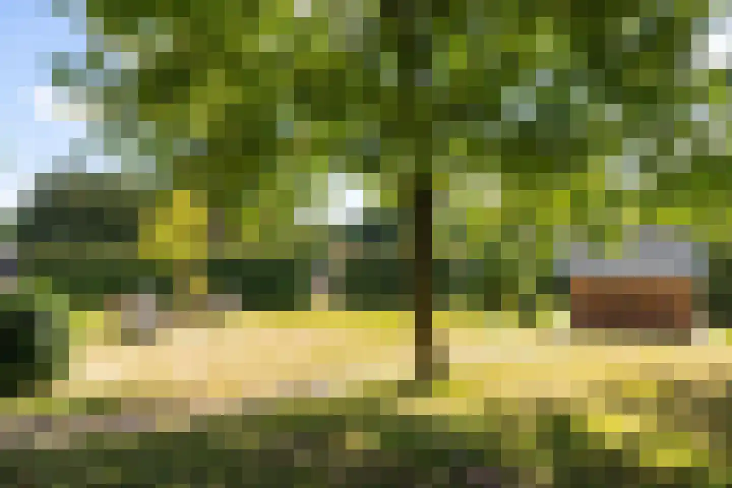 Nieuwenhuysstraat 60 Hulsberg thumbnail 61