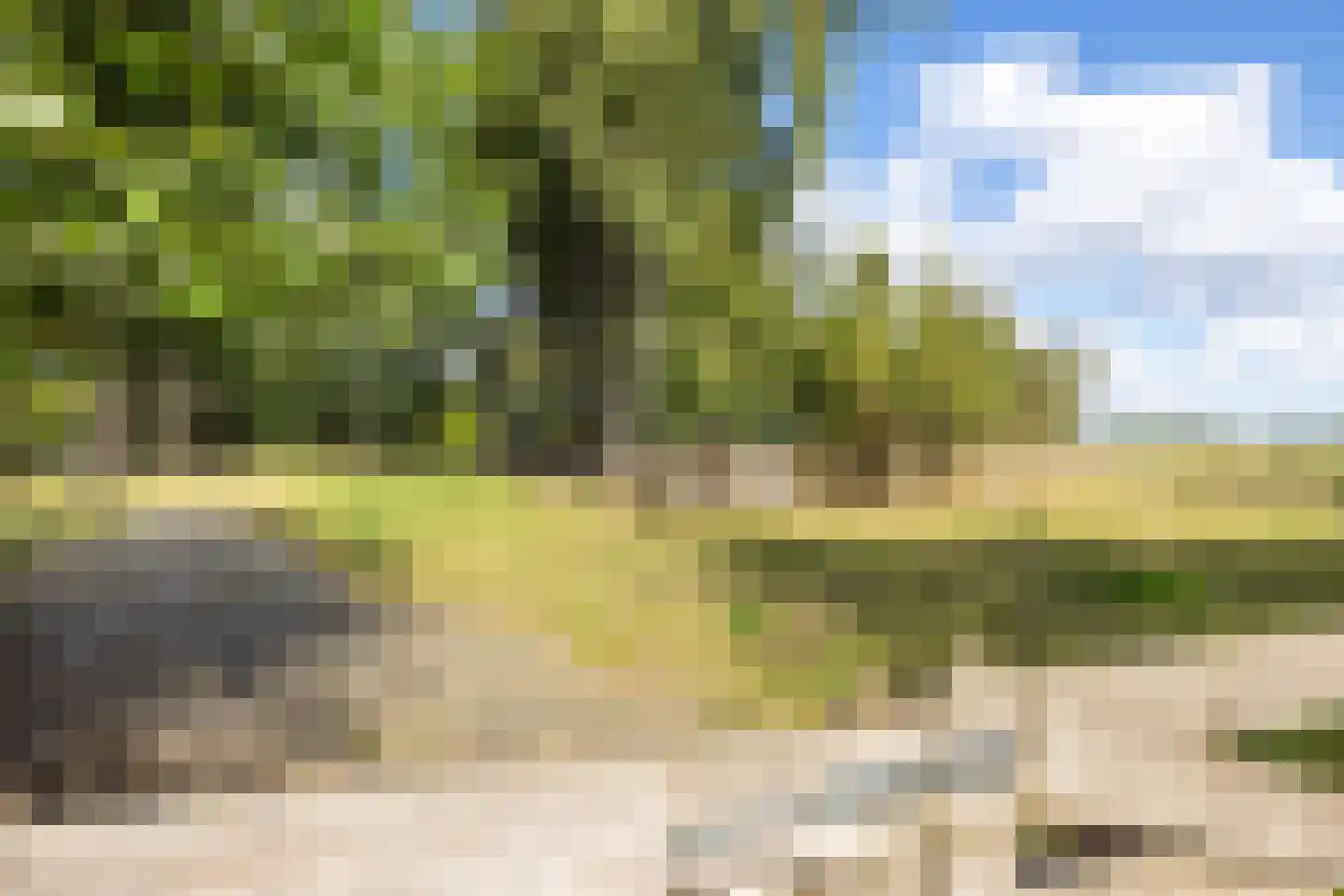Nieuwenhuysstraat 60 Hulsberg thumbnail 62