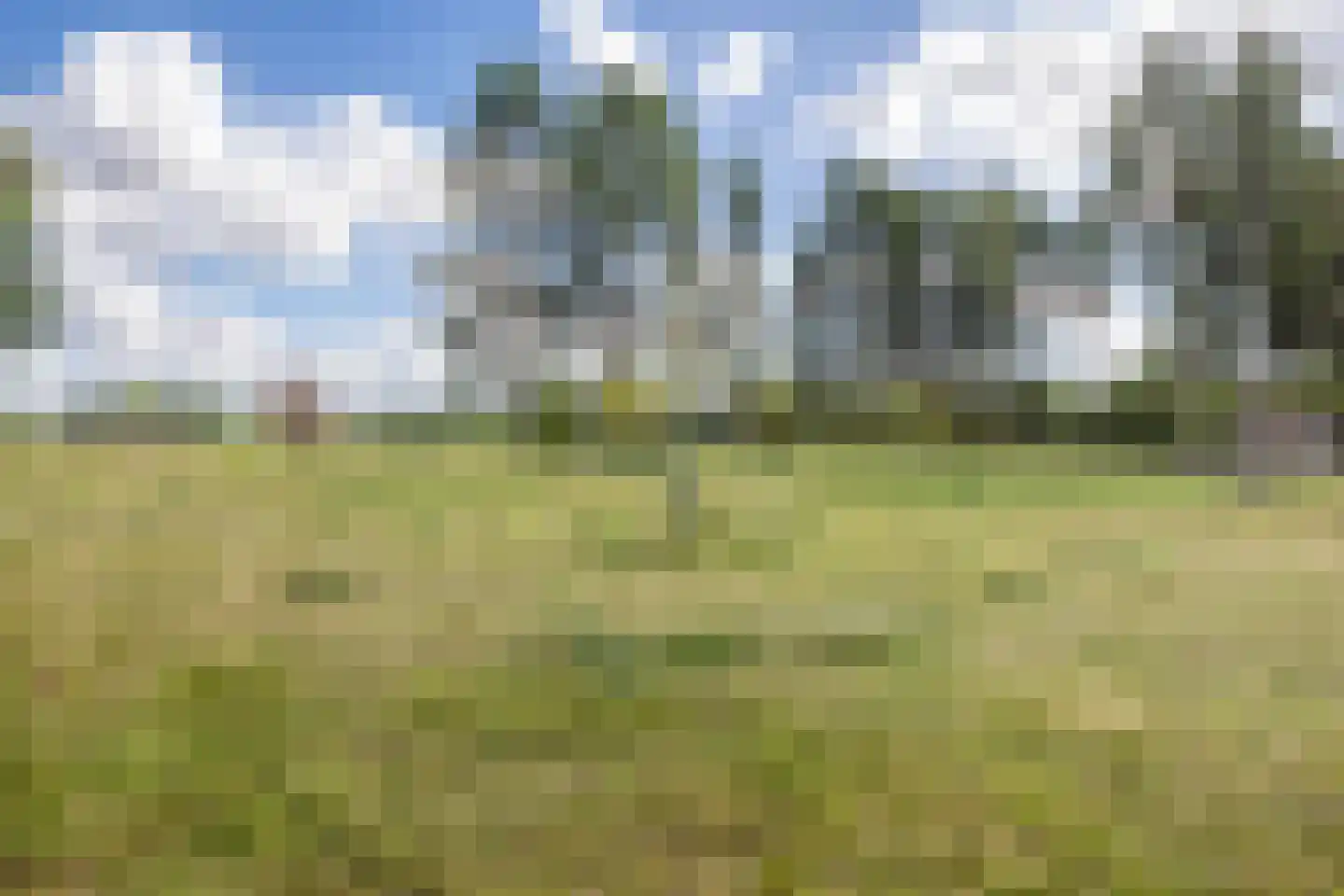 Nieuwenhuysstraat 60 Hulsberg thumbnail 63