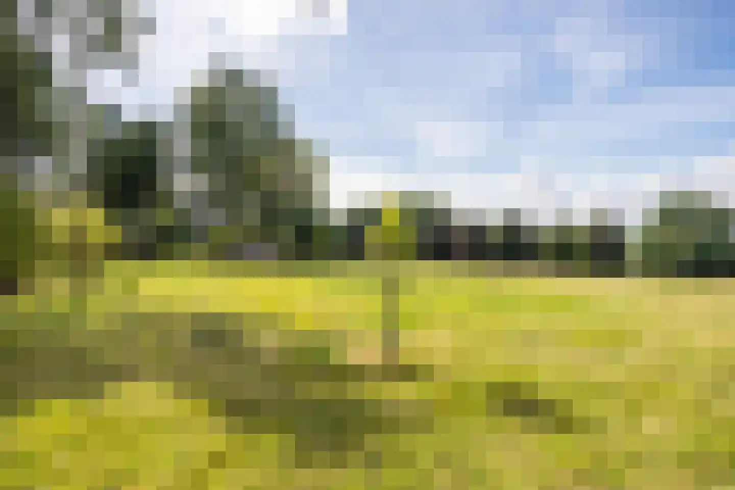Nieuwenhuysstraat 60 Hulsberg thumbnail 64