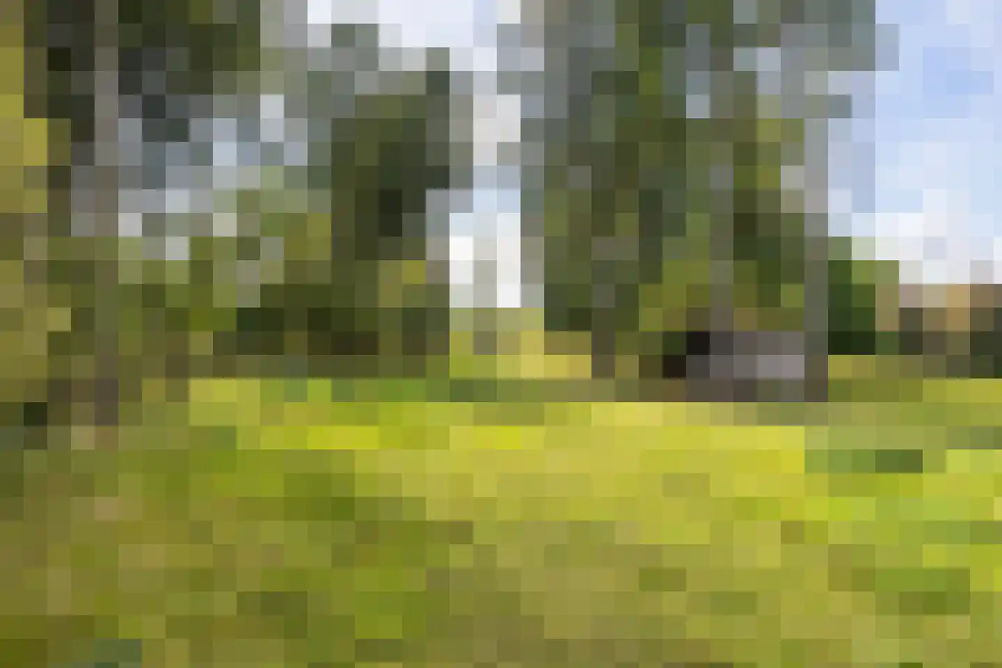 Nieuwenhuysstraat 60 Hulsberg thumbnail 65