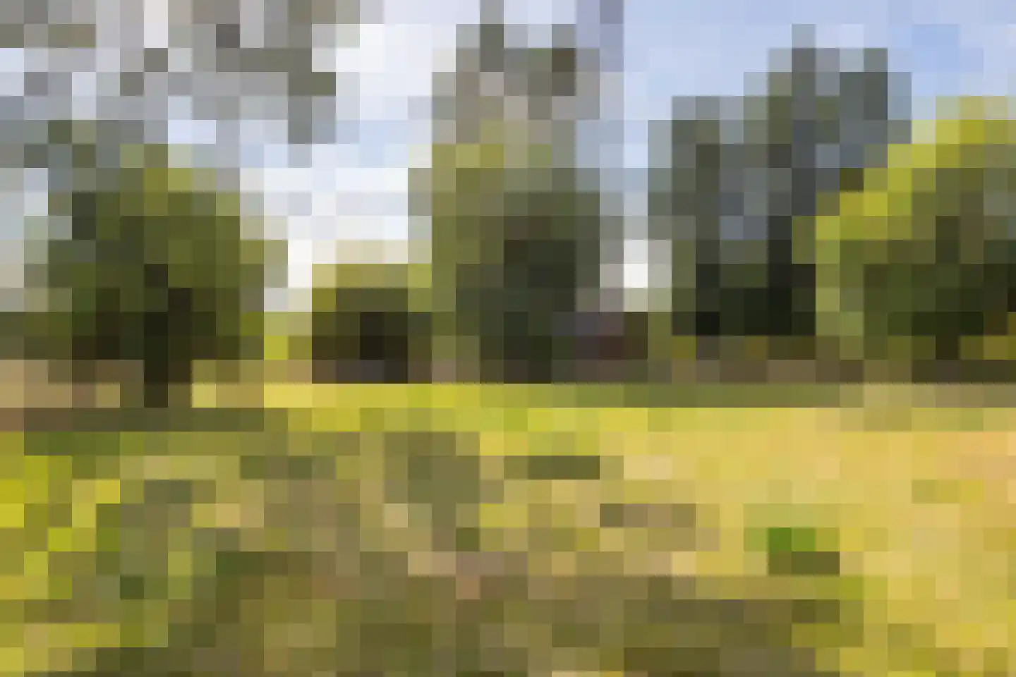 Nieuwenhuysstraat 60 Hulsberg thumbnail 66