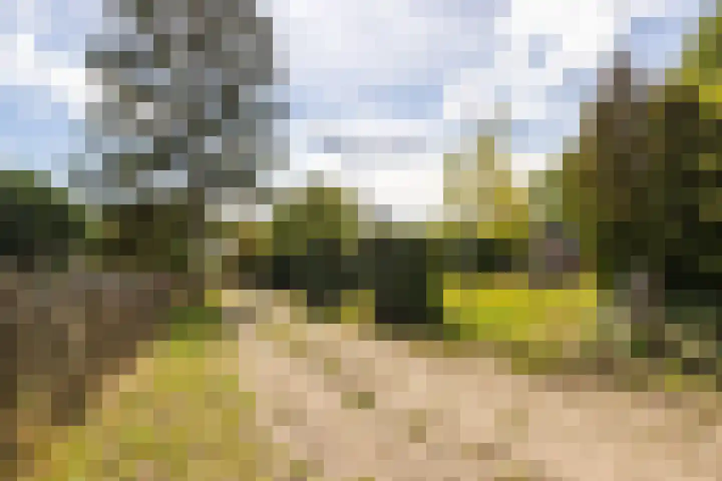 Nieuwenhuysstraat 60 Hulsberg thumbnail 67