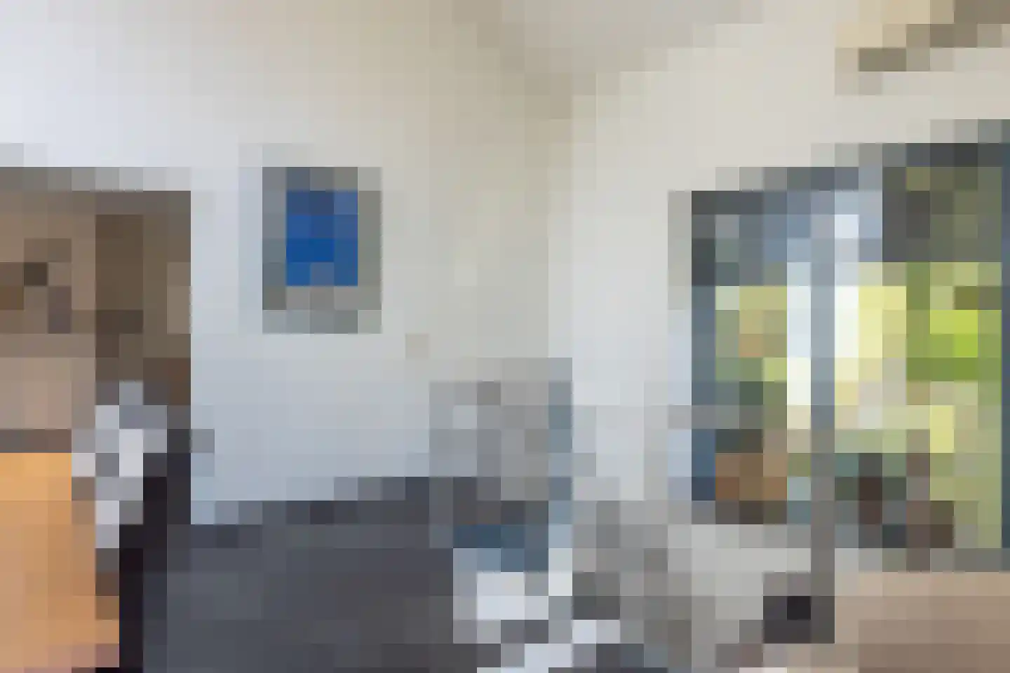 Nieuwenhuysstraat 60 Hulsberg thumbnail 7