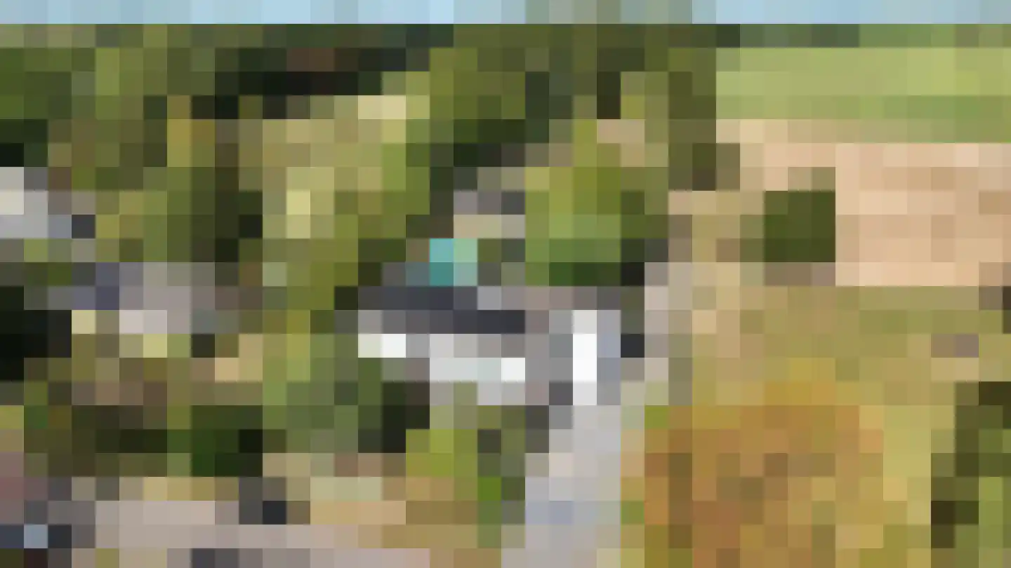 Nieuwenhuysstraat 60 Hulsberg thumbnail 77