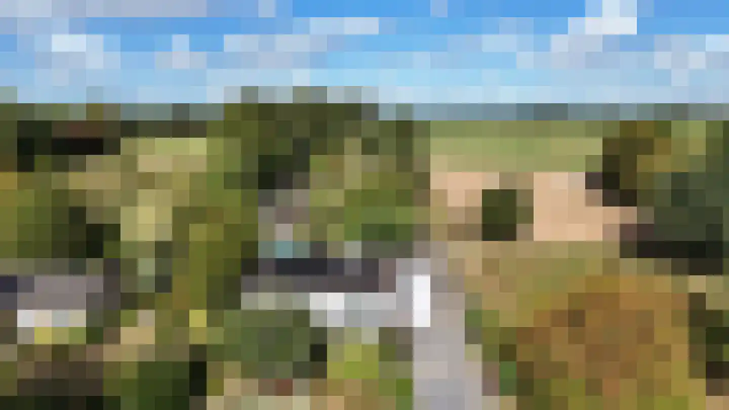 Nieuwenhuysstraat 60 Hulsberg thumbnail 81