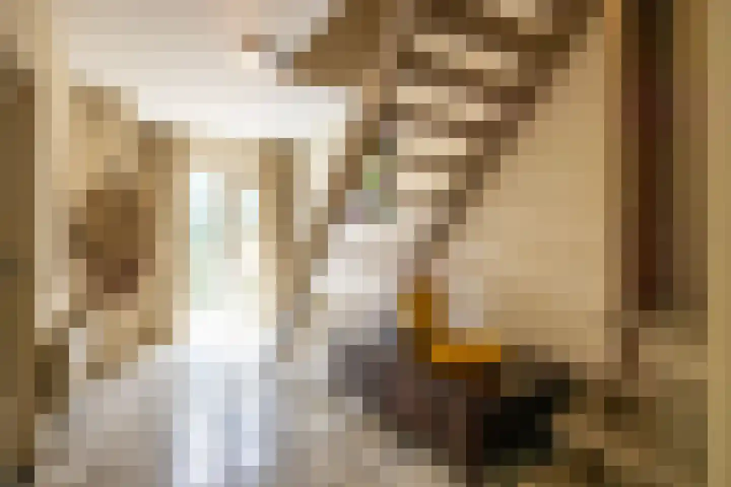 Nieuwenhuysstraat 60 Hulsberg thumbnail 9