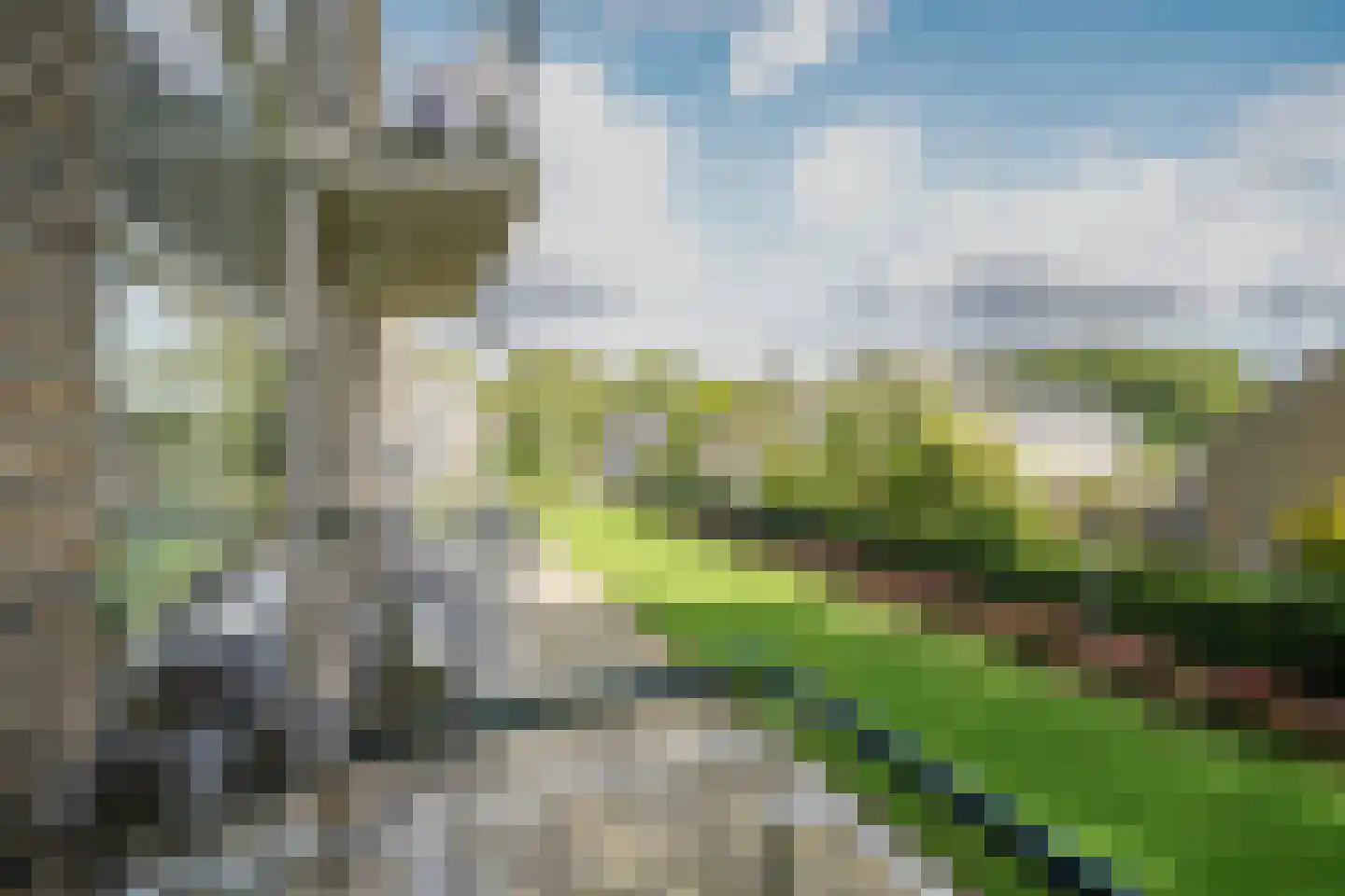 Nieuwenoord 104 Rotterdam thumbnail 25