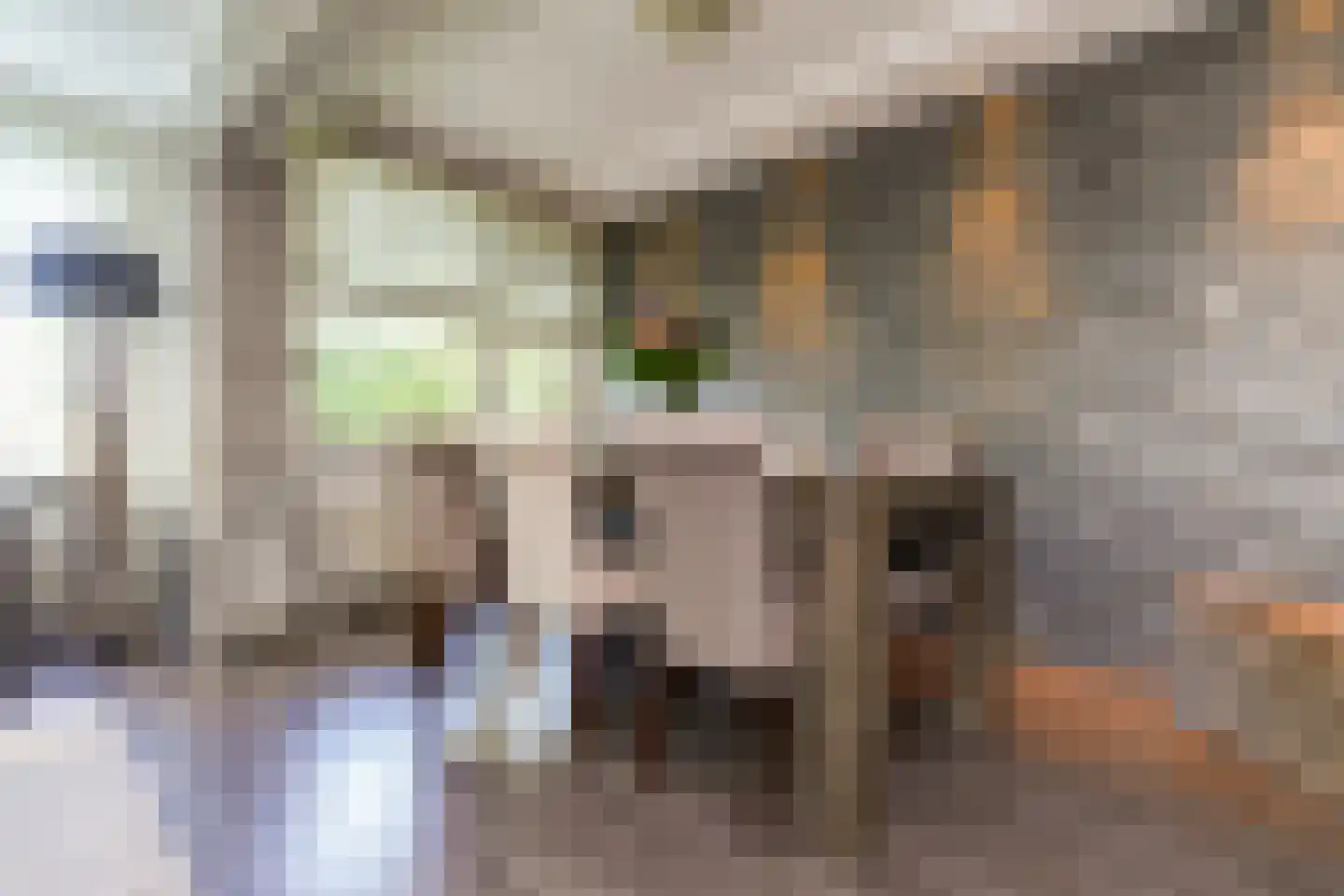 Nieuwenoord 104 Rotterdam thumbnail 9