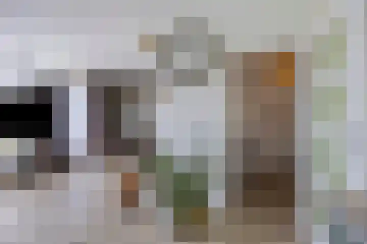 Nieuwenoord 152 Rotterdam thumbnail 18