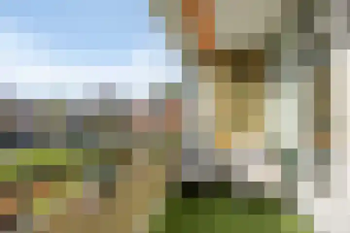 Nieuwenoord 152 Rotterdam thumbnail 35