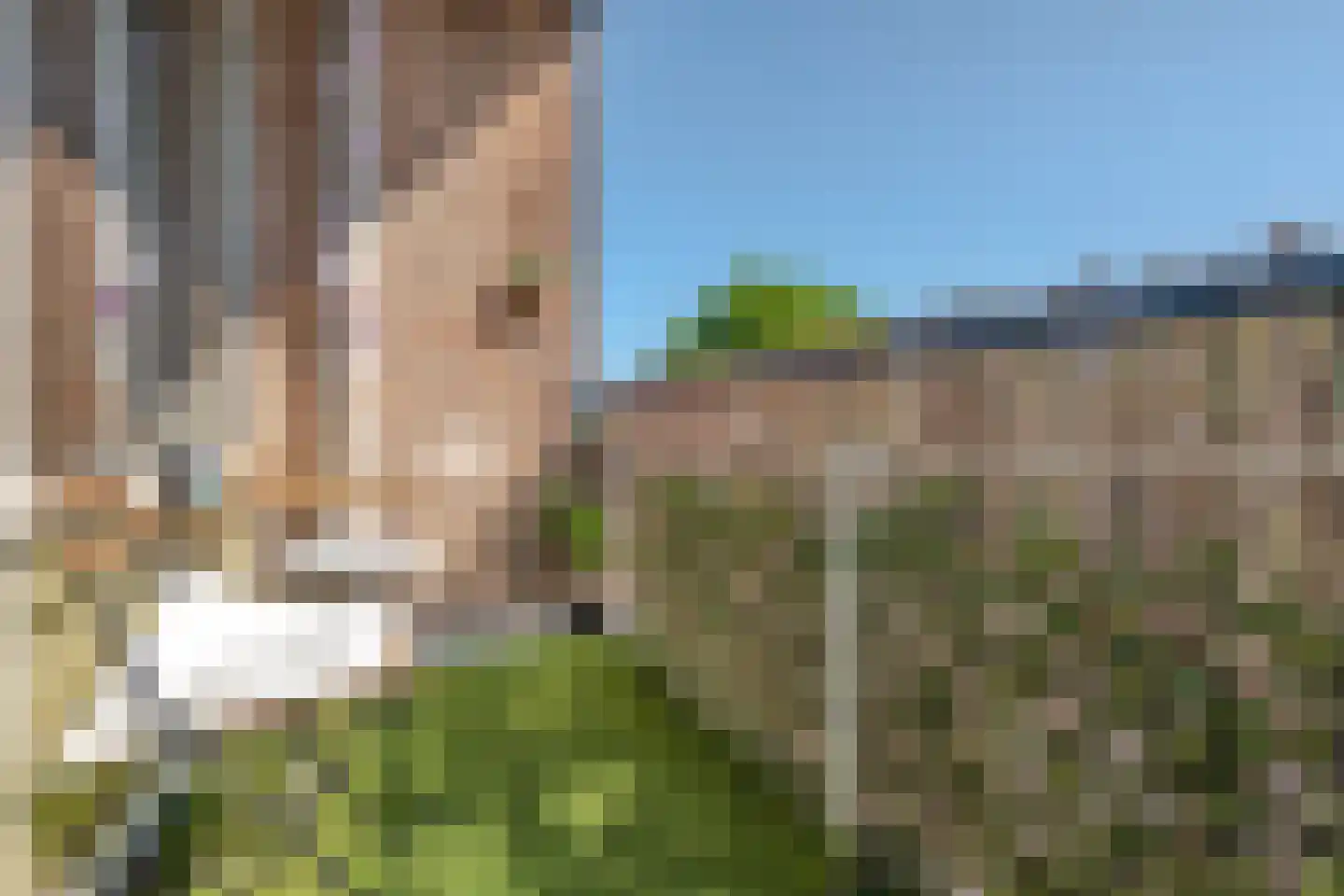 Nieuwenoord 167 Rotterdam thumbnail 5