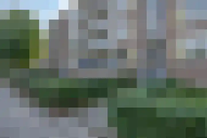 Nieuwenoord 185 Rotterdam thumbnail 8