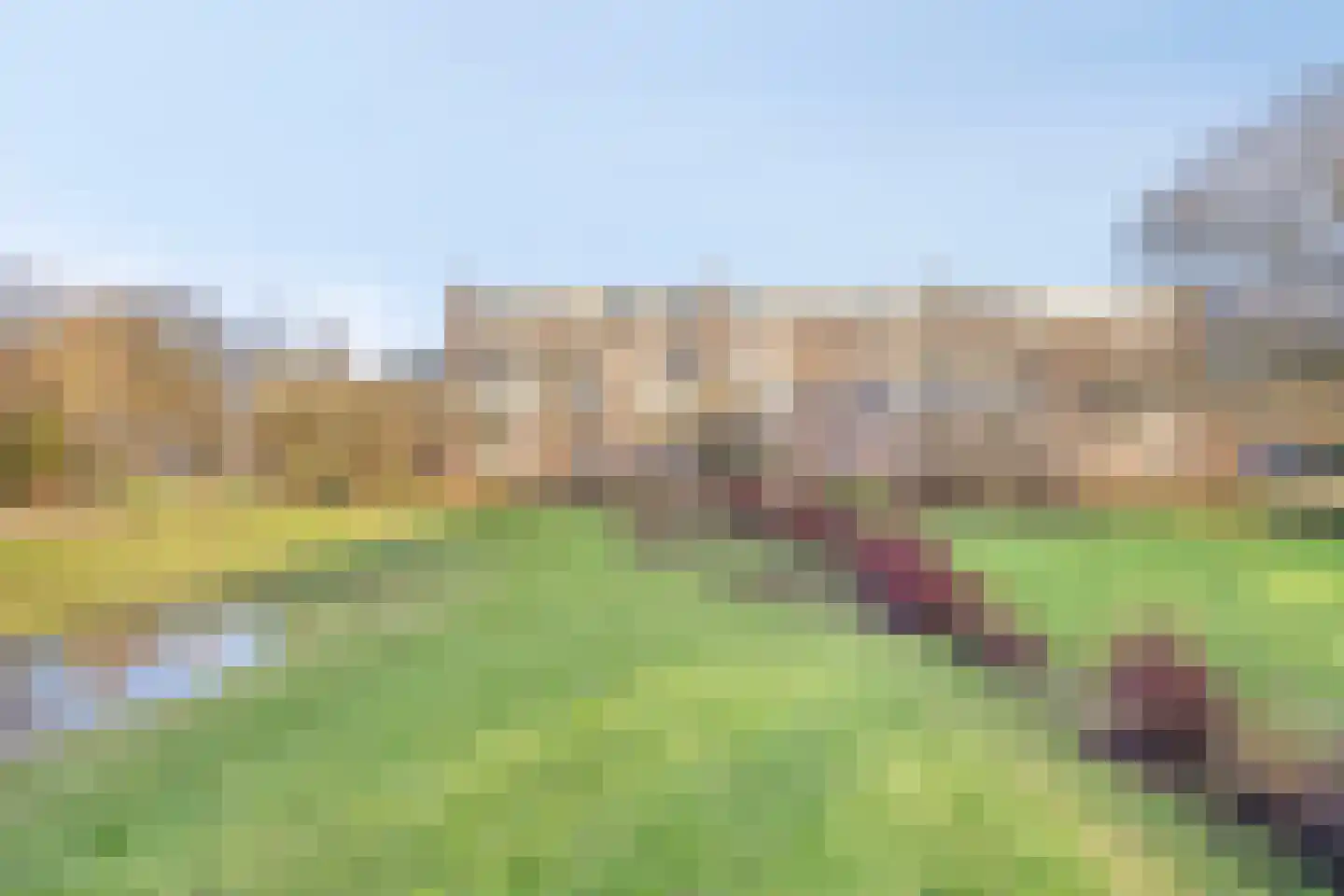 Nieuwenoord 191 Rotterdam thumbnail 27