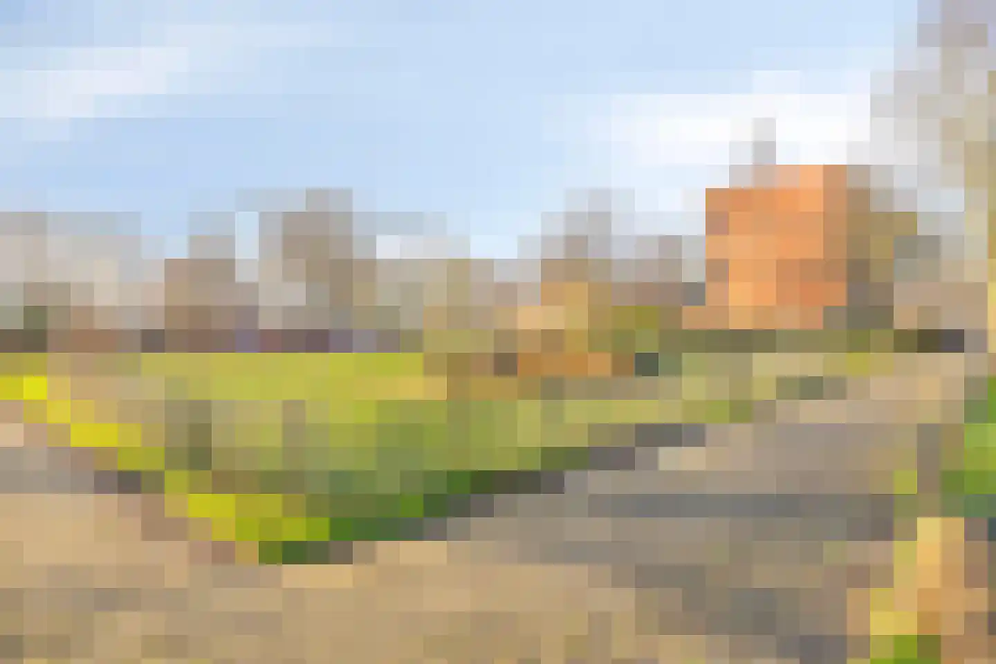 Nieuwenoord 191 Rotterdam thumbnail 28