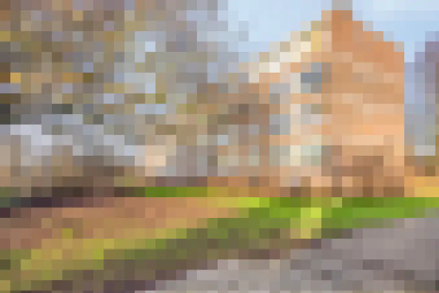 Nieuwenoord 191 Rotterdam thumbnail 30