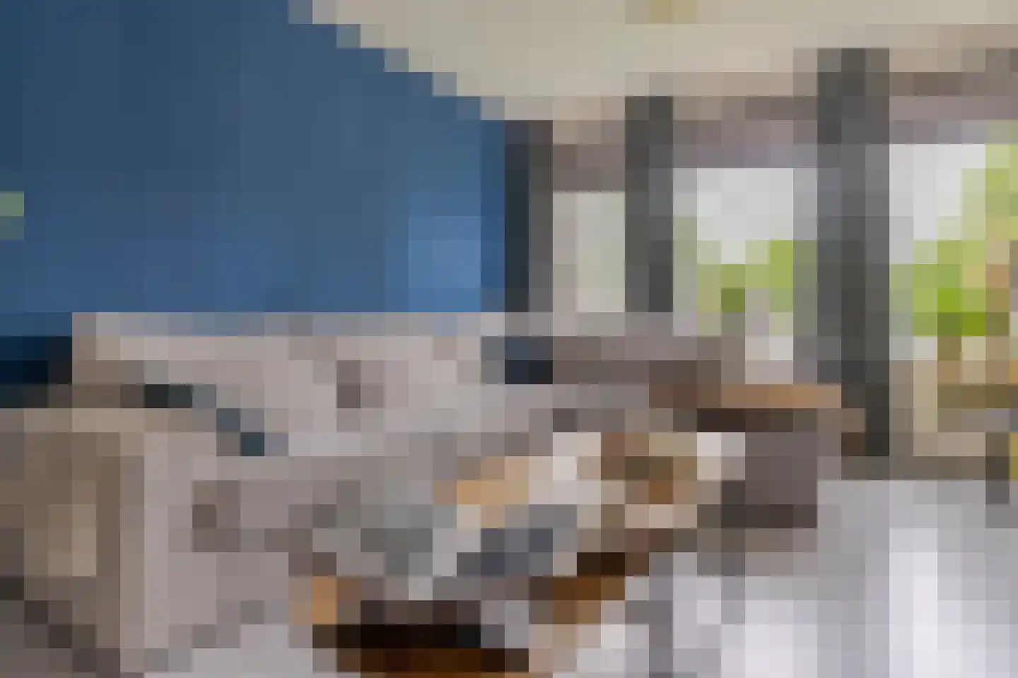 Nieuwenoord 212 Rotterdam thumbnail 10