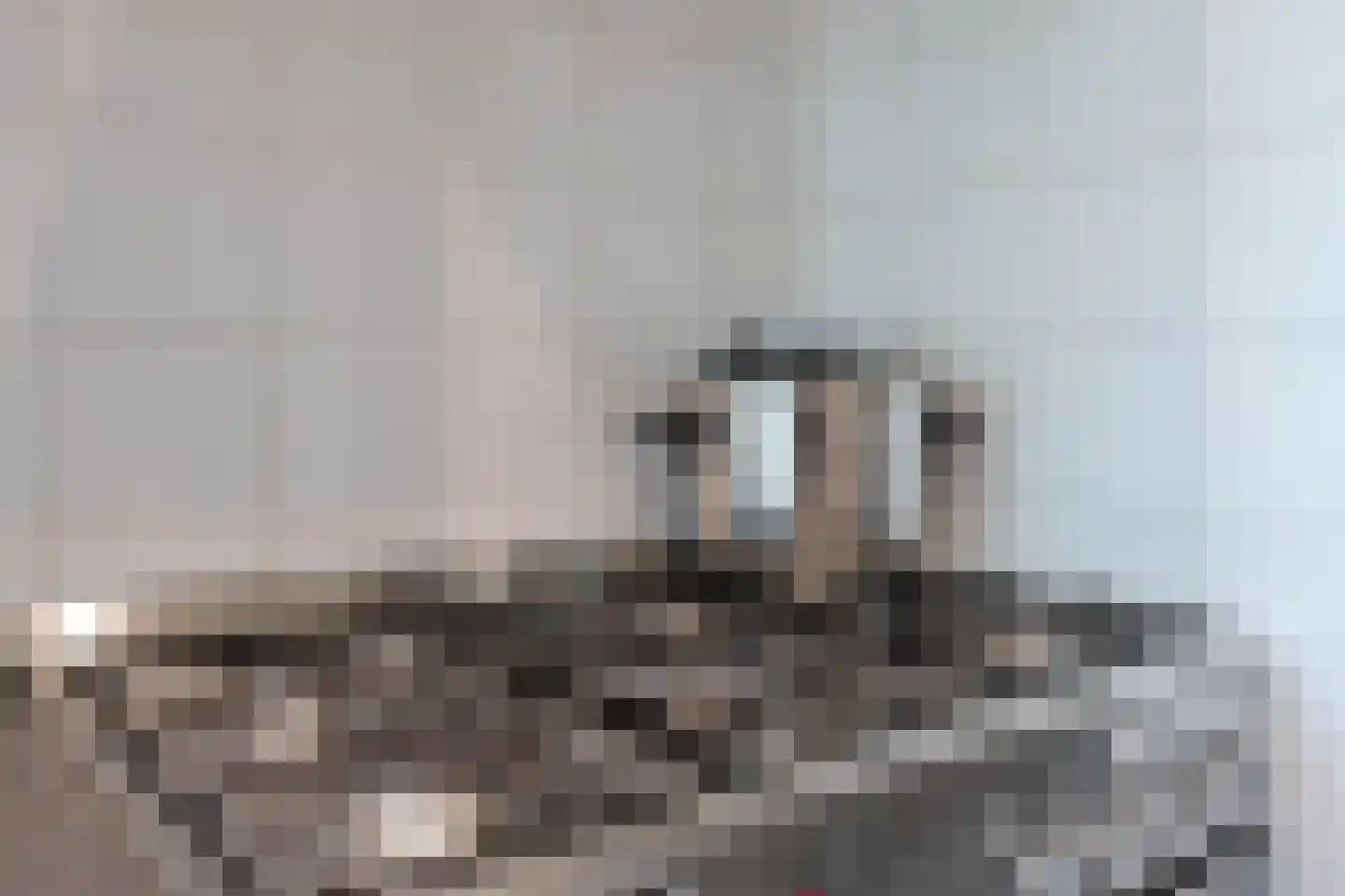 Nieuwenoord 212 Rotterdam thumbnail 17