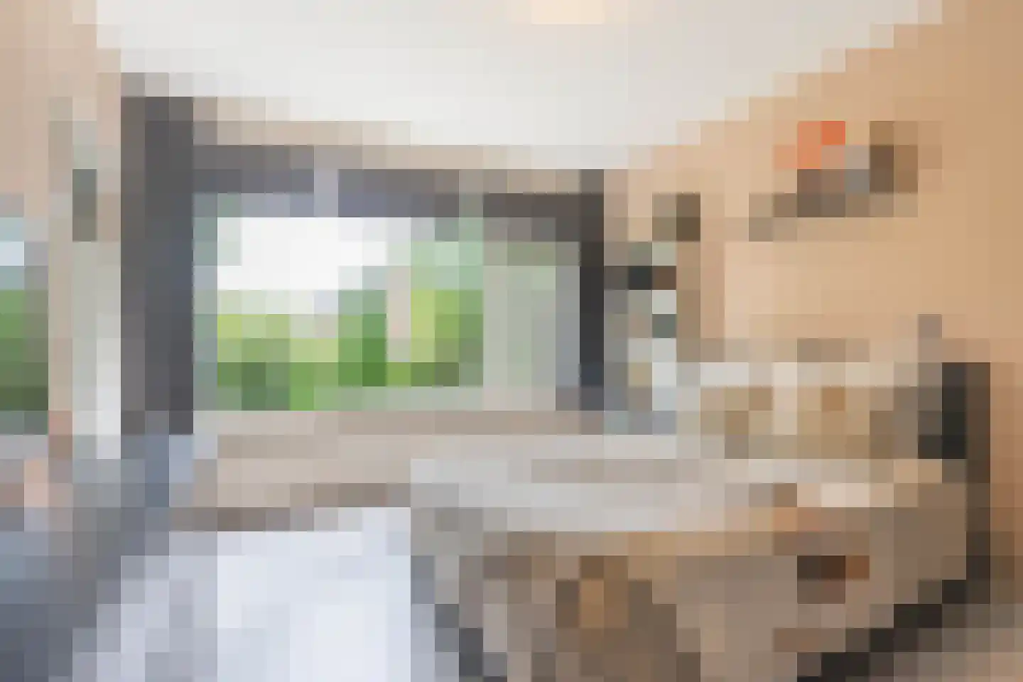 Nieuwenoord 212 Rotterdam thumbnail 4