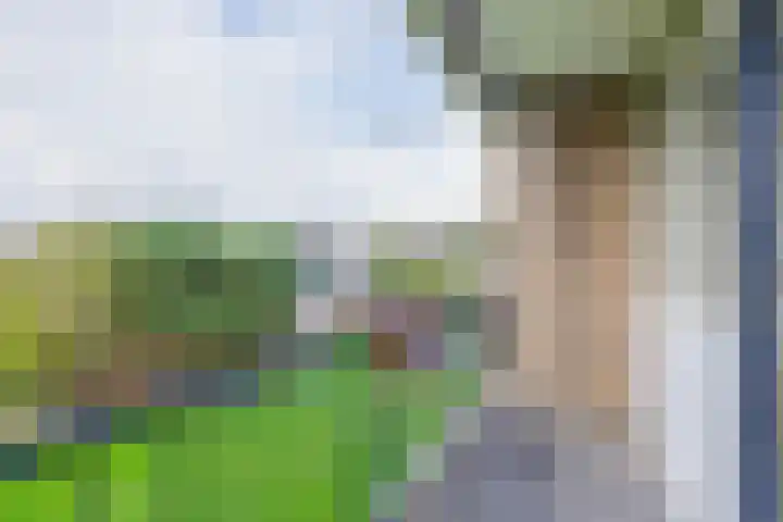 Nieuwenoord 231 Rotterdam thumbnail 20