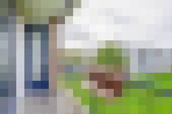 Nieuwenoord 231 Rotterdam thumbnail 21