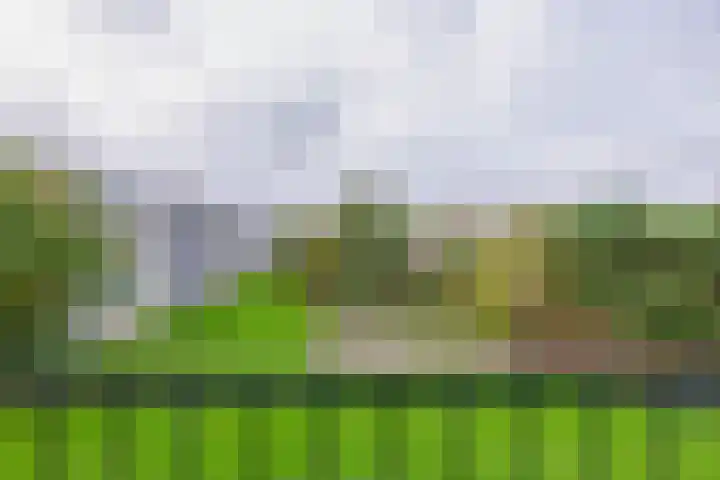 Nieuwenoord 231 Rotterdam thumbnail 5