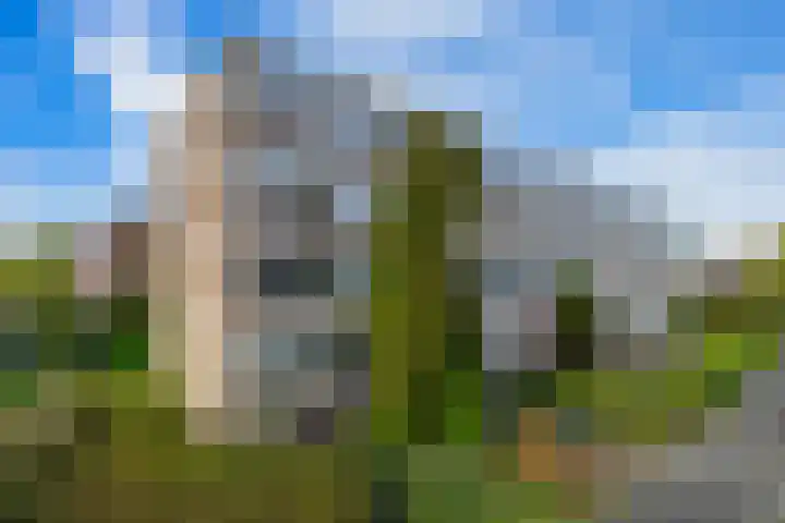 Nieuwenoord 231 Rotterdam thumbnail 6