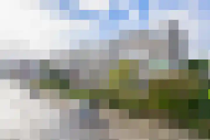 Nieuwenoord 231 Rotterdam thumbnail 7