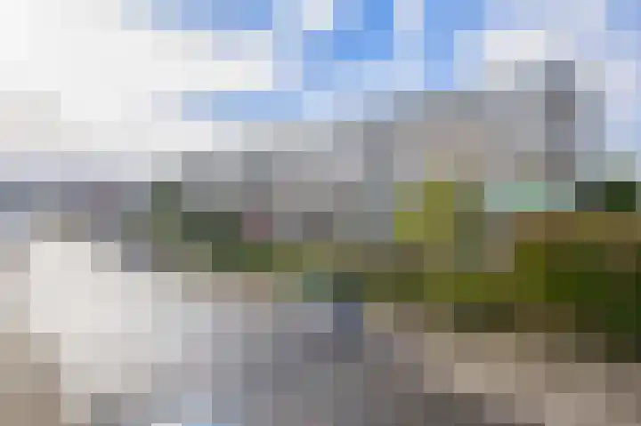 Nieuwenoord 231 Rotterdam thumbnail 8