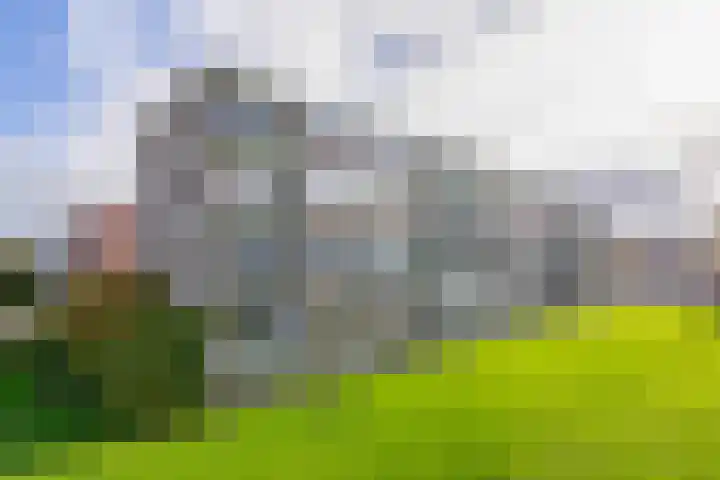 Nieuwenoord 231 Rotterdam thumbnail 9