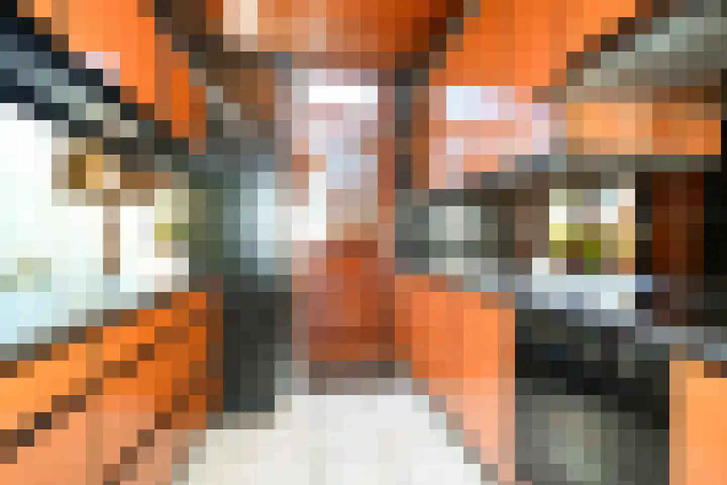 Nieuwenoord 30 Rotterdam thumbnail 16