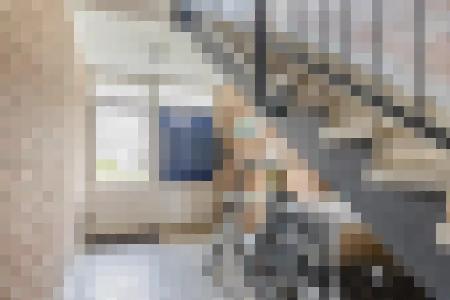 Nieuwenoord 305 Rotterdam thumbnail 5