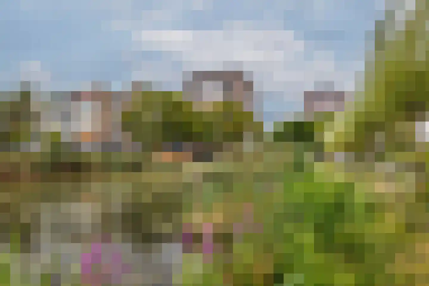 Nieuwenoord 57 Rotterdam thumbnail 47