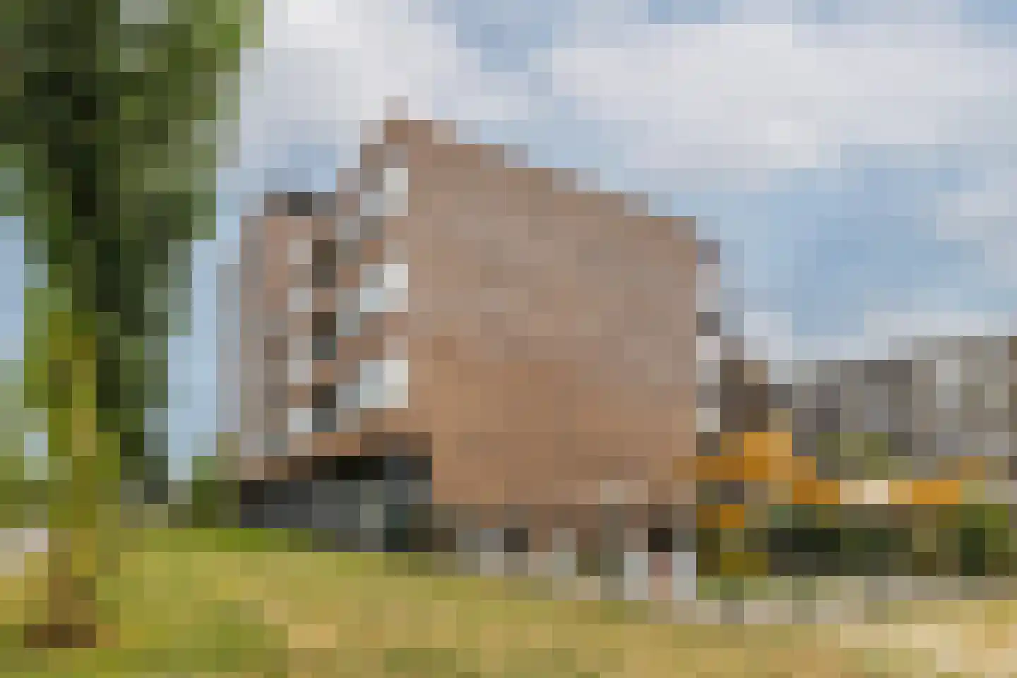 Nieuwenoord 57 Rotterdam thumbnail 52