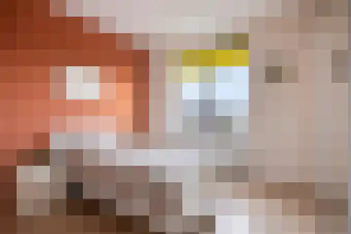 Nieuwenoord 59 Rotterdam thumbnail 13