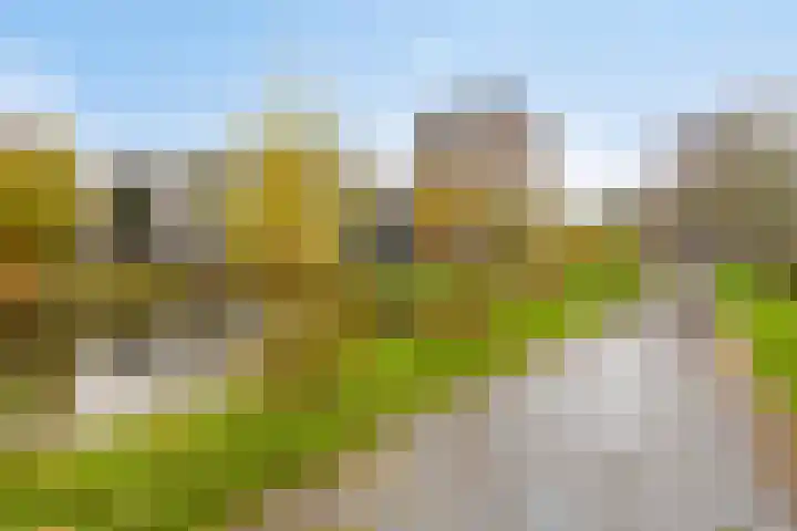 Nieuwenoord 59 Rotterdam thumbnail 25