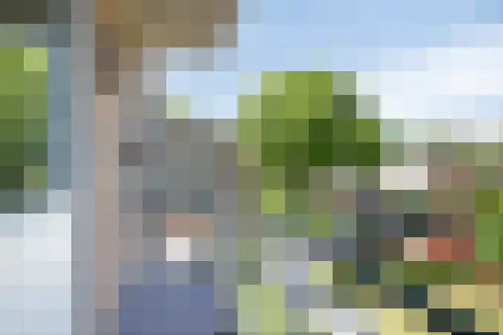 Nieuwenoord 74 Rotterdam thumbnail 25