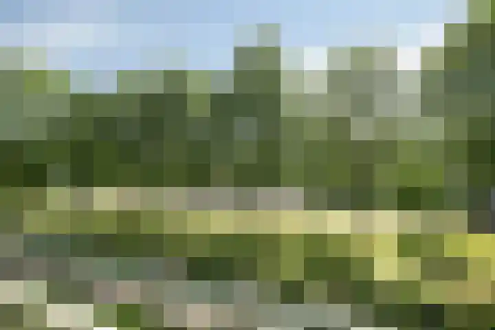 Nieuwenoord 74 Rotterdam thumbnail 26