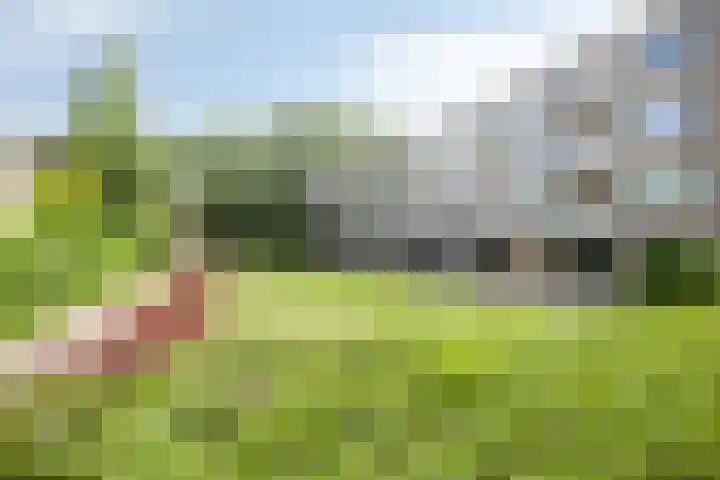 Nieuwenoord 74 Rotterdam thumbnail 29