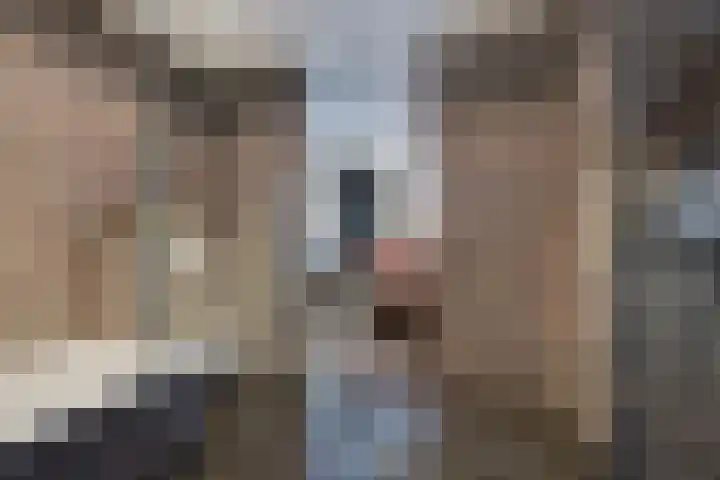 Nieuwenoord 75 Rotterdam thumbnail 30