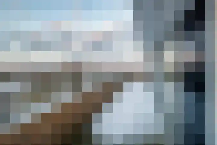 Nieuwenoord 75 Rotterdam thumbnail 45