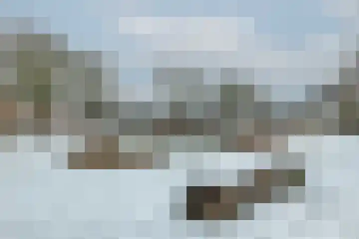 Nieuwenoord 75 Rotterdam thumbnail 58