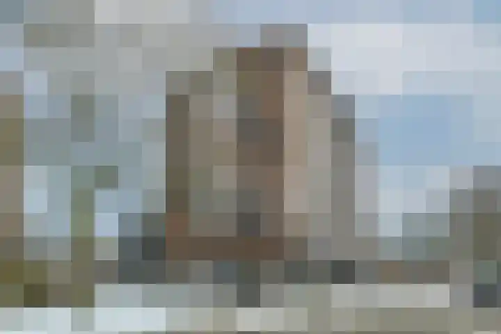 Nieuwenoord 75 Rotterdam thumbnail 59