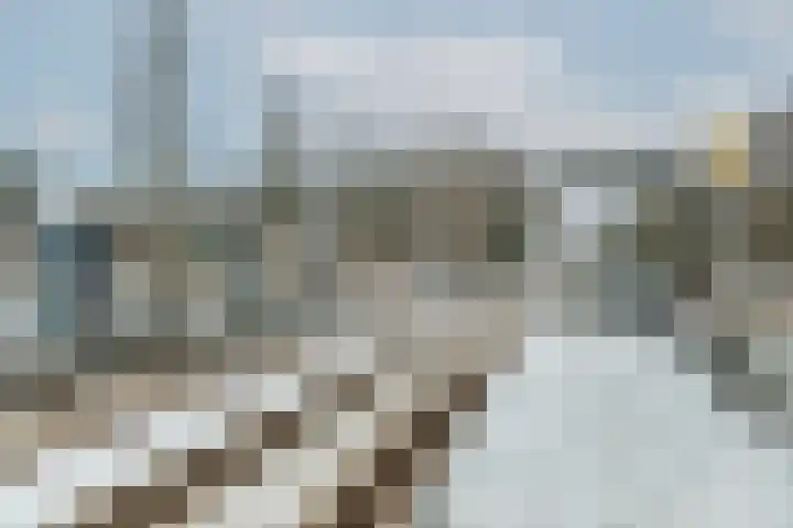 Nieuwenoord 75 Rotterdam thumbnail 61