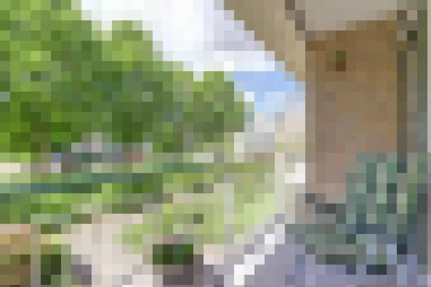 Nieuwenoord 90 Rotterdam thumbnail 26