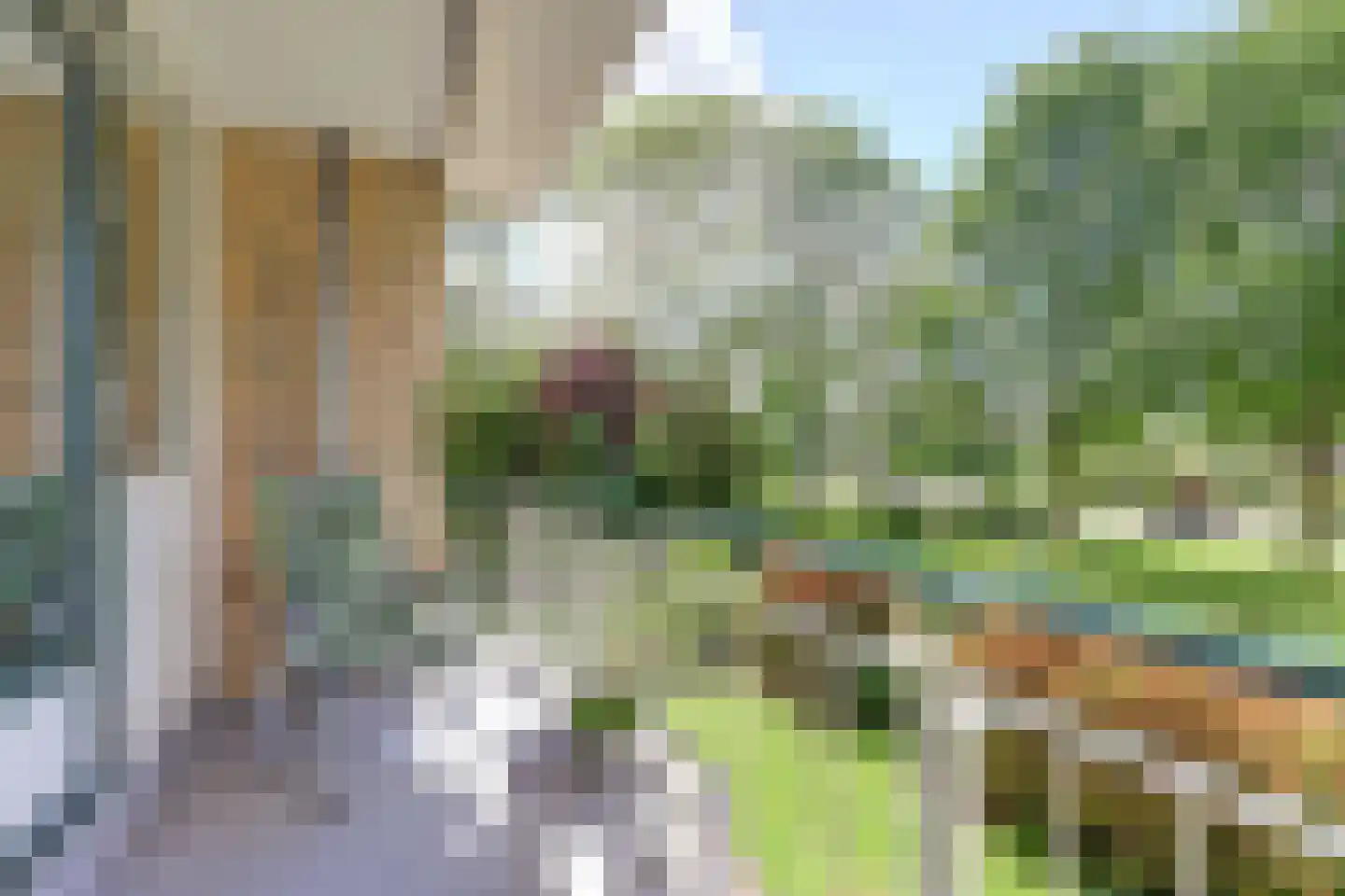 Nieuwenoord 90 Rotterdam thumbnail 27