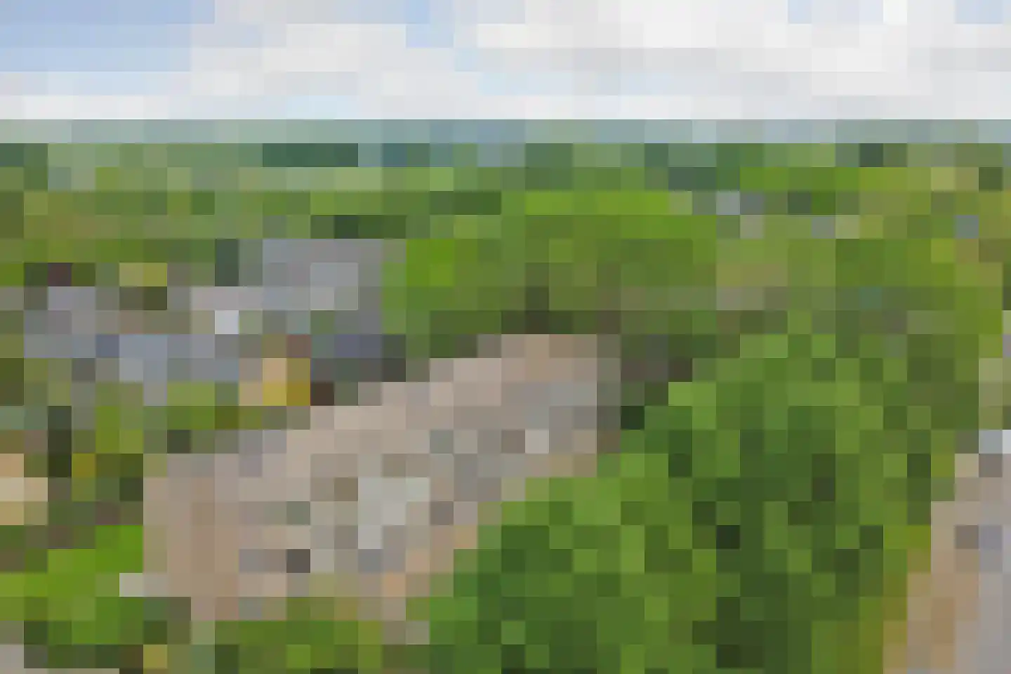 Nieuwenoord 90 Rotterdam thumbnail 30